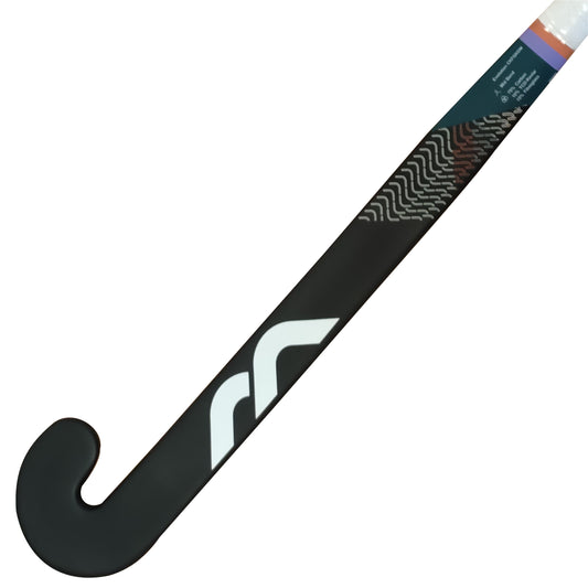 Evolution DM Goalkeeping Stick (2024)